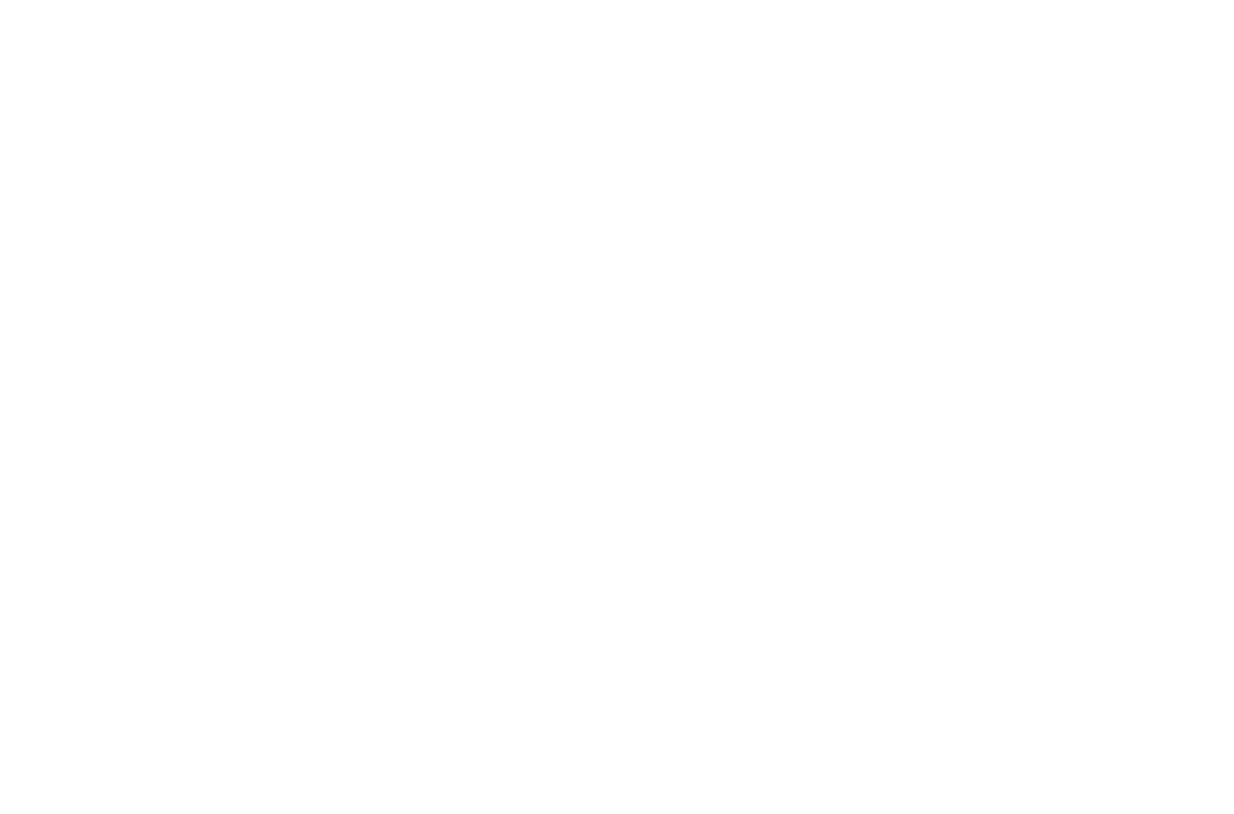 RTE Toy Show